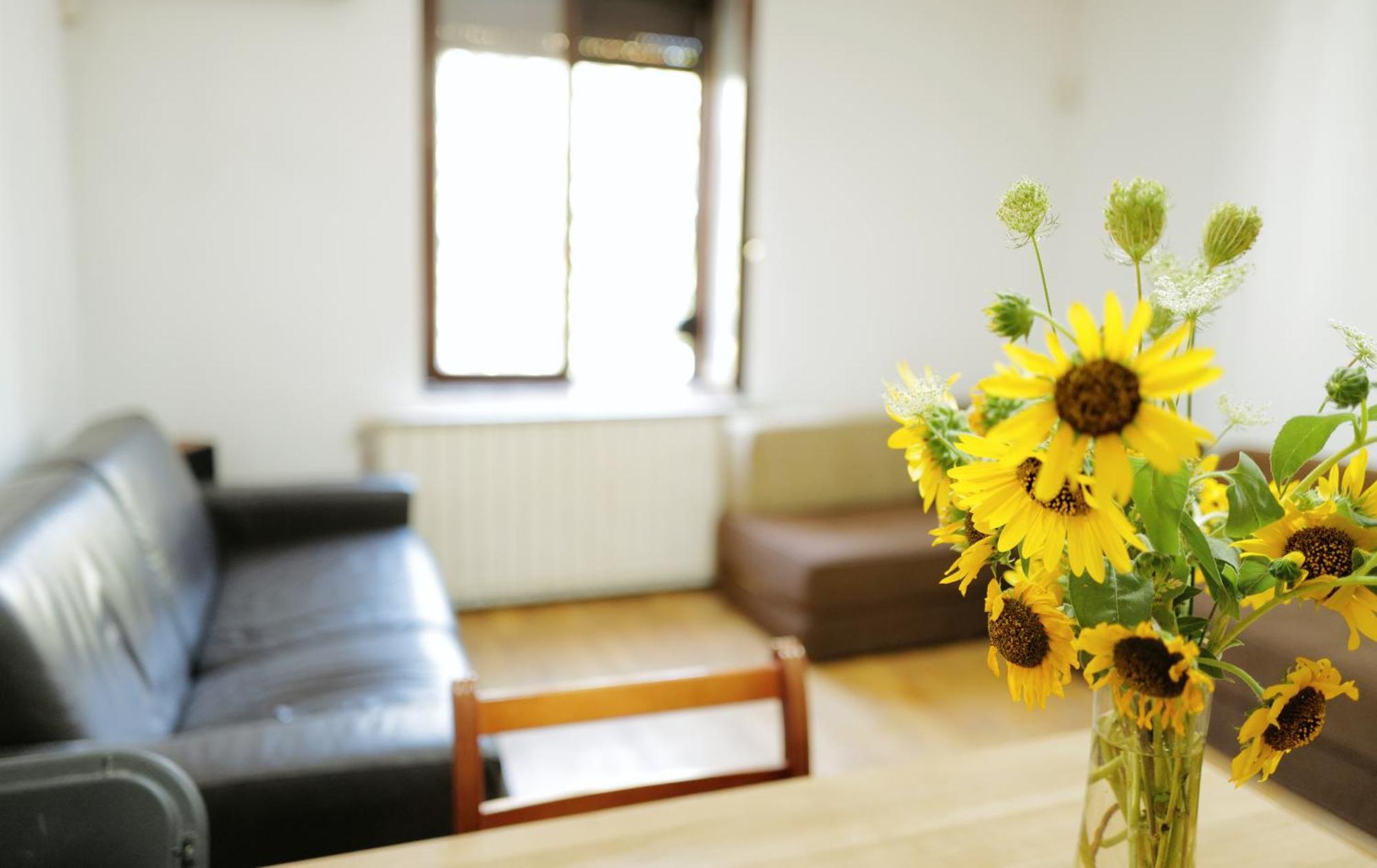 Happy Cat Old Town Hostel Beograd Ngoại thất bức ảnh