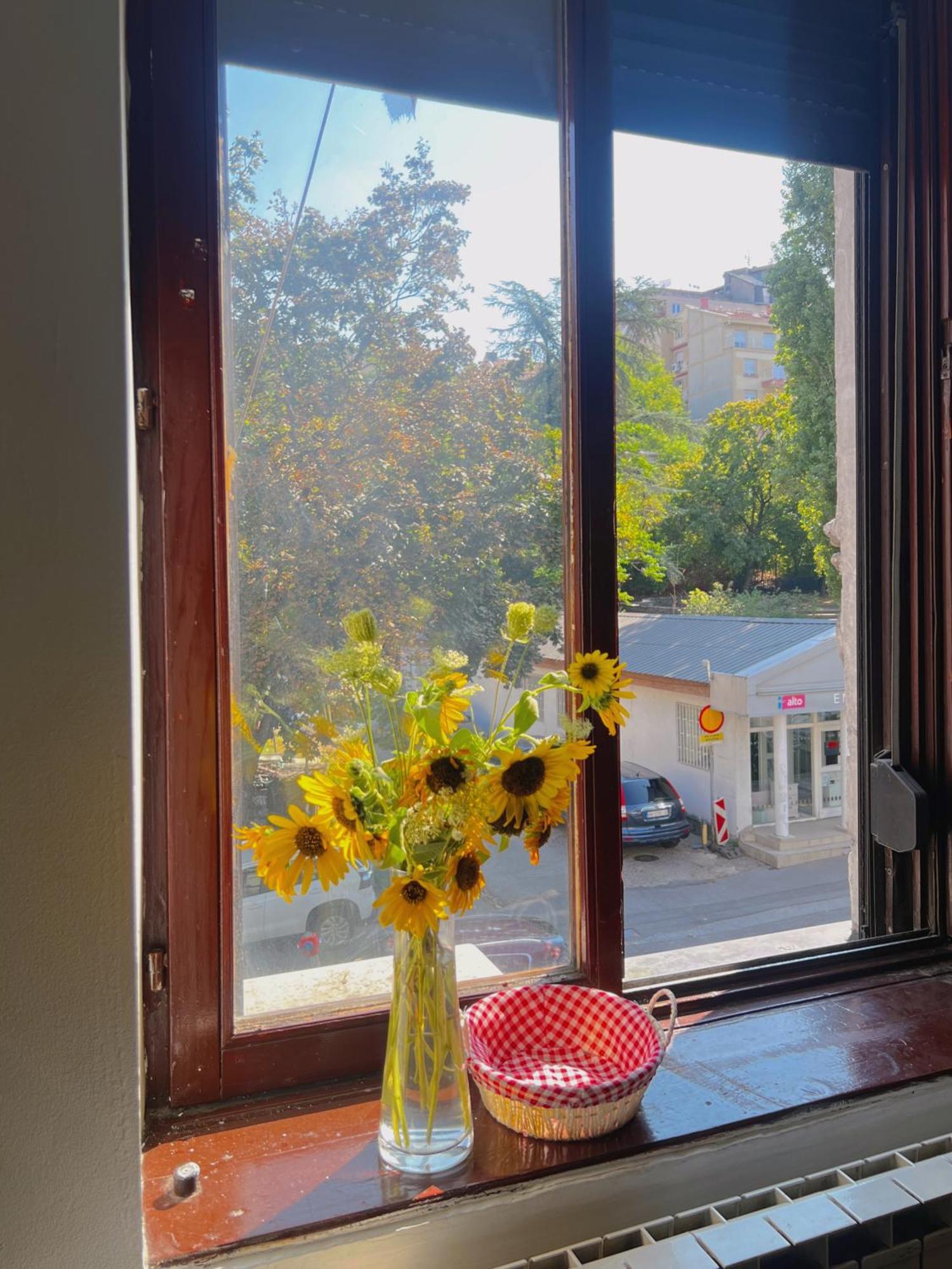 Happy Cat Old Town Hostel Beograd Ngoại thất bức ảnh